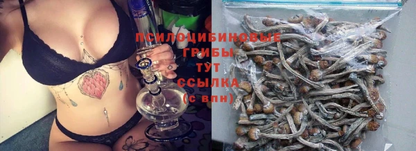 прущий лед Богородск